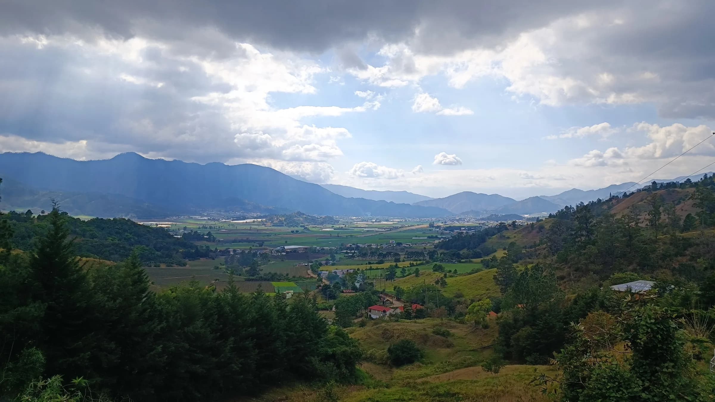 Constanza
