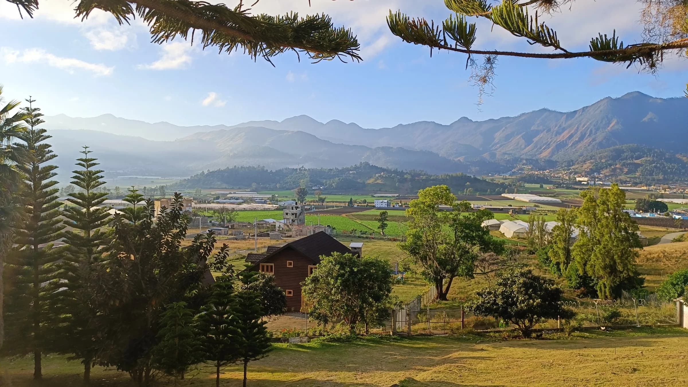 Constanza